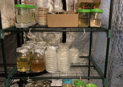 Mushroom Lab Storage